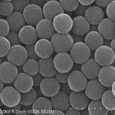 Nitrogen-Doped Mesoporous Carbon spheres